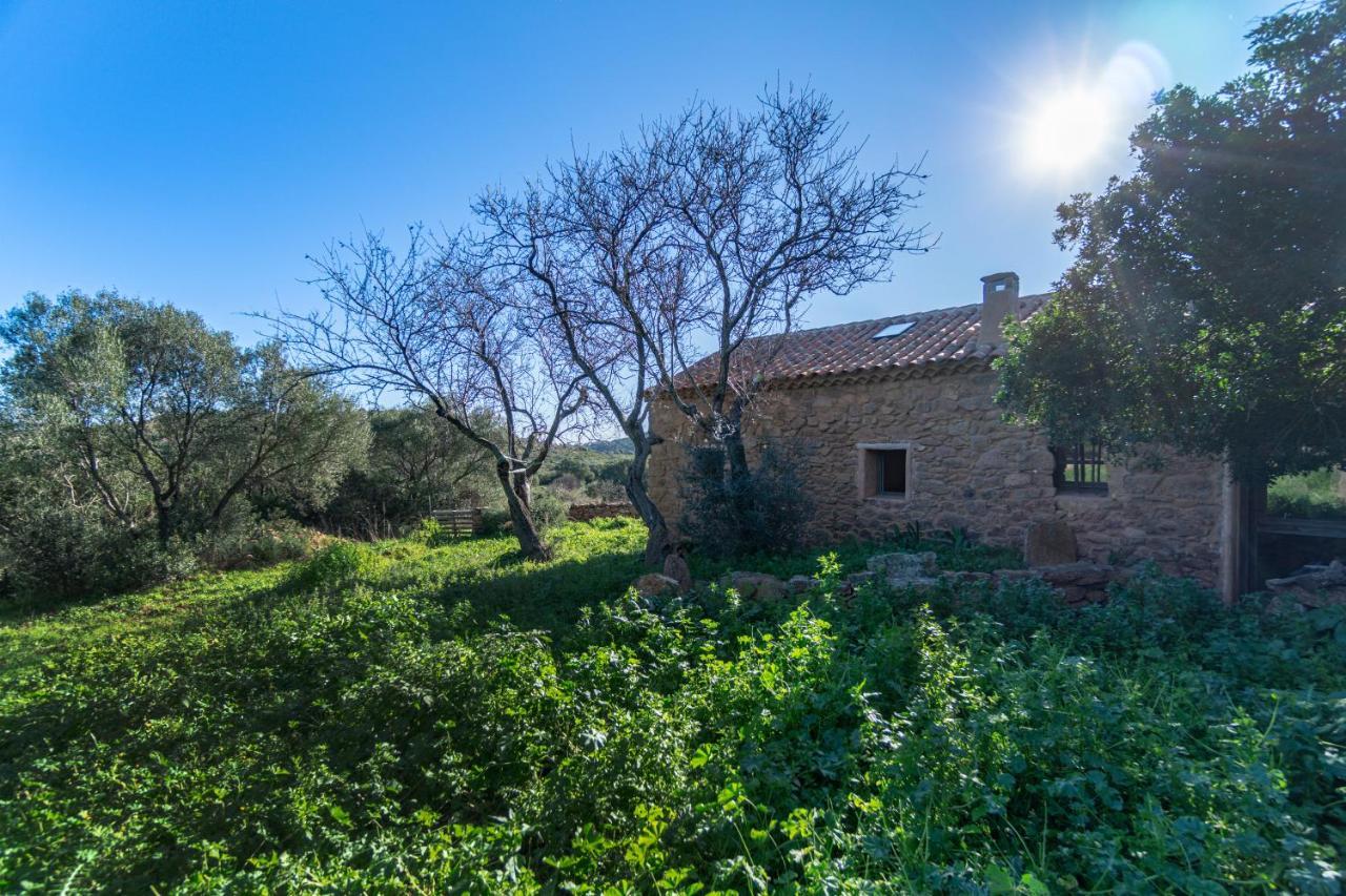 Le Case Di Mara - Appartamenti Tipici "Stazzo Giovannareddu" Porto San Paolo  Εξωτερικό φωτογραφία